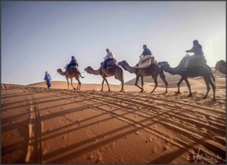 Morocco Travel Tours,private tours and excursions