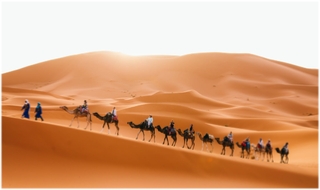 Morocco Travel Tours,private tours and excursions